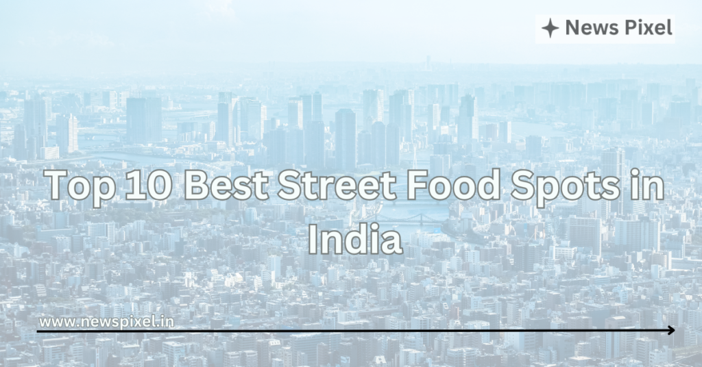 Top 10 Best Street Food Spots in India