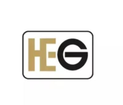 HEG Redrose Vanijya Equity Acquisition Worth Rs 5.31 Crore Reported