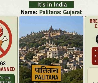 Strict Rule: Vegetarian City India Palitana Bans Meat and Eggs, Violations Can Lead to Punishment