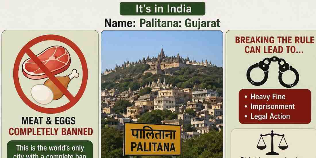 Strict Rule: Vegetarian City India Palitana Bans Meat and Eggs, Violations Can Lead to Punishment