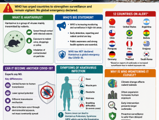 Global Health Alert: Hantavirus Pandemic Risk Raises Concern as WHO Warns Multiple Countries